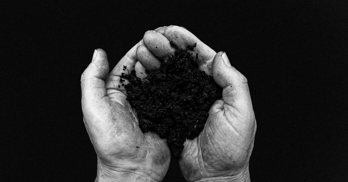 Une image en noir et blanc représentant des mains tenant délicatement du sol frais, symbolisant la croissance et l'entretien de la terre.